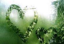 科斯塔斯·马诺拉斯，这位足坛铁卫有着怎样的职业生涯轨迹？